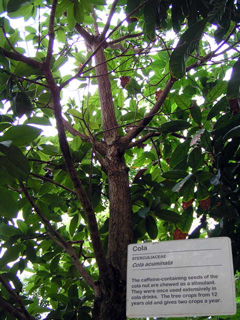 PICT3140.jpg
