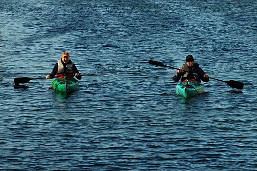 kayaks in Stockholm